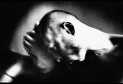 michael 34 crop u505